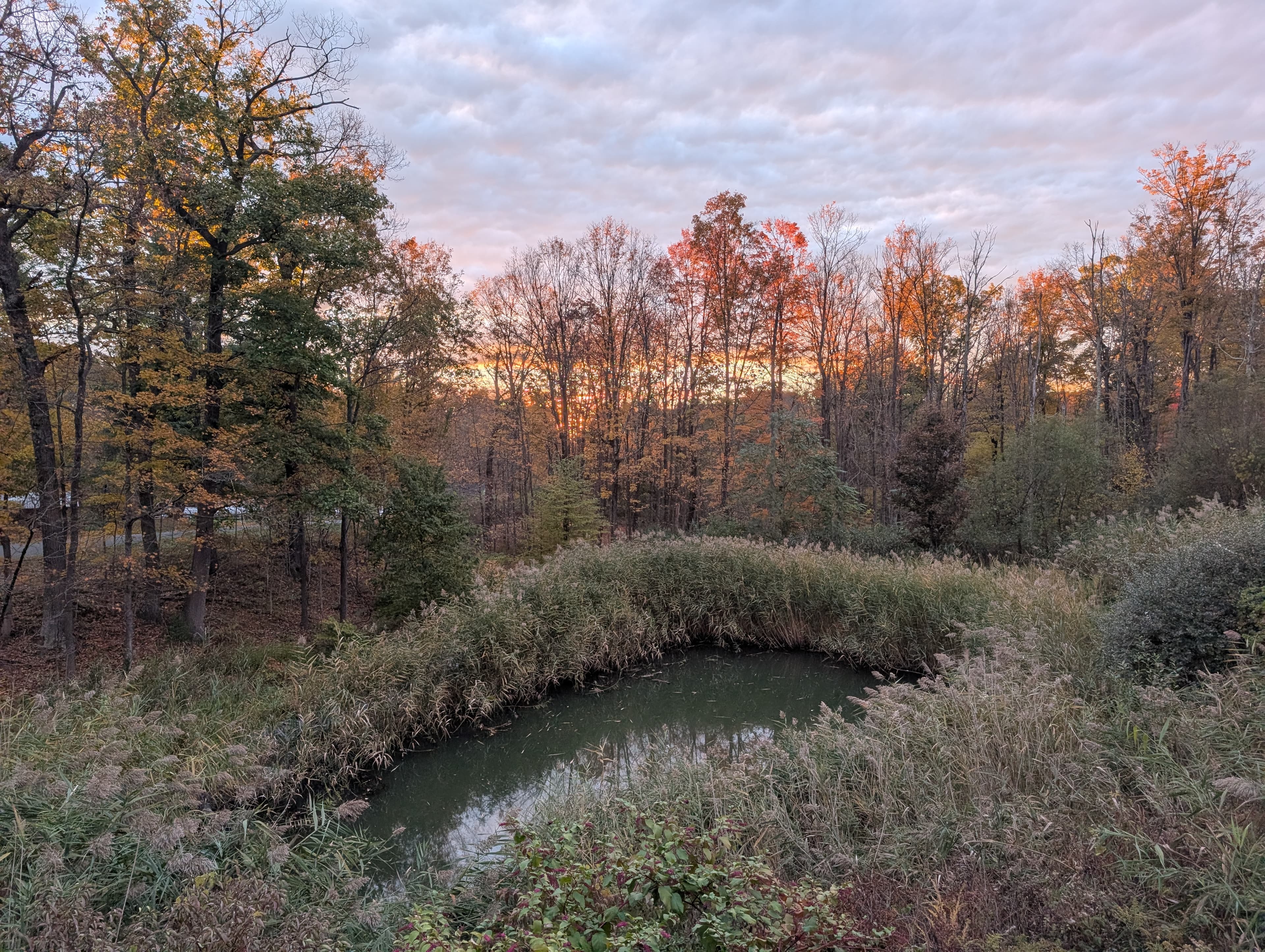 Fall pond, Hudson Valley